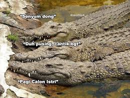 Anda dapat baca parodinya versi republik gondes pada artikel sebelumnya: 10 Meme Lucu Modus Buaya Darat Di Medsos Jangan Terjebak