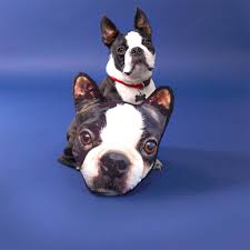 Maybe you would like to learn more about one of these? Unusual Personalized Gifts For Pets And Pet Lovers Lovimals