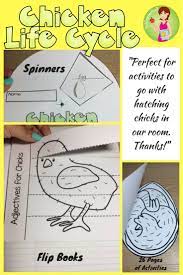 Chicken Life Cycle Activities Life Cycles Chicken Life Cycle Activities Chicken Life Cycle