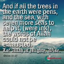 The quran has the answers for all our problems and these verses are just a few nuggets of wisdom. Reminders Islamic Quotes