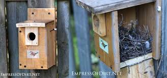 Maybe you would like to learn more about one of these? 10 Free Wren Bird House Plans For Spring Diy Projects