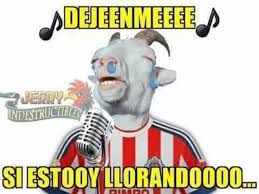 Ministra rubilar aclara que una estrategia de rebaño es completamente diferente a aplanar la curva. America Vence A Chivas Y Los Memes Se Burlan Del Rebano Eleconomistaamerica Cl