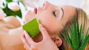 Untuk anda yang aktif seharian di bawah panas terik matahari, coba oleskan gel nature republic aloe vera ini pada permukaan kulit yang kemerahan. 15 Khasiat Lidah Buaya Untuk Kulit Muka Agar Putih Berseri Klubwanita Com