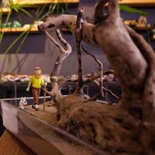 Colde Tenten Sahnesi Mangrove Koku Silis Kumu Tenten Ve Kopegi Milu Lisansli Figur Tintin Scene In The Desert Mangrove Instagram Instagram Posts Lovely