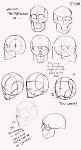 Drawing Anatomy Skull Drawing Reference Skulls Drawing Skull Drawing Anatomy Drawing