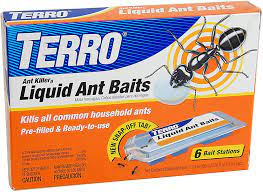 What Should You Do If Your Dog Ate An Ant Trap