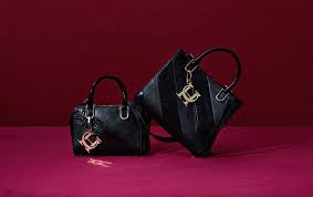 كلب الترويج بسيط موقع ch للشنط dsvdedommel com