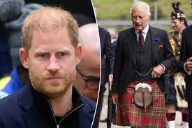 Prince Harry 'desperate' to win back royal family with latest peace  offering to King Charles: expert