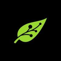 Mowgli - Your Digital Growth Partner | LinkedIn