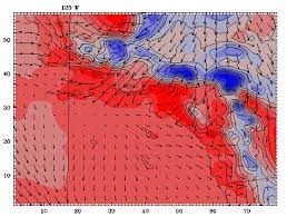 The Santa Ana Winds