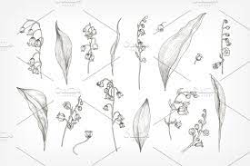 Lily Of The Valley Flower Drawing Lily Of The Valley Tattoo Lily Of The Valley Flower Tattoo