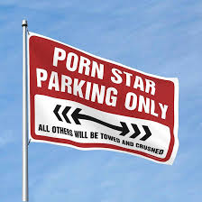 Amazon.com : Home Decor For Men Porn Star Parking Only Flag Funny Dorm Room  Flags College Dorm Flags (Size : 60X90CM) : Patio, Lawn & Garden