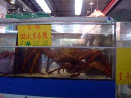 You want something with a curved blade. How To Buy Alaskan King Crab Chowtimes Com