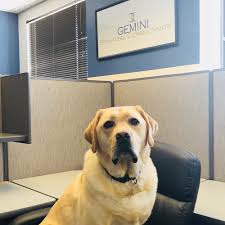 Office Cats And Dogs Reduce Stress Levels And Boost Productivity Business Insider Dog Cat Office Cat Office Pets