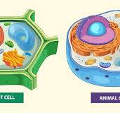 Cell biology illustration Images - Free Download on Freepik