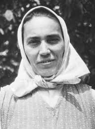 Uprooted : One Family's Survival On The Run