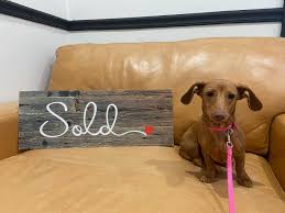 Jennifer Noll Realtor at Agora Realty Group