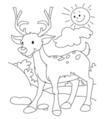 Top 20 Deer Coloring Pages For Your Little Ones In 2020 Deer Coloring Pages Animal Coloring Pages Farm Animal Coloring Pages