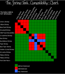 shrimp compatibility chart