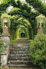 Beautiful Places Birr Castle Garden Offaly Ireland Photo By Luke Ravitch Ravitch Via Flickr Beautiful Gardens Garden Paths Garden Arbor