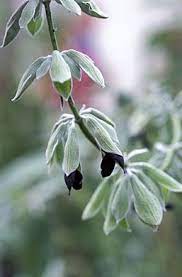 Pin On Green Things Wish List
