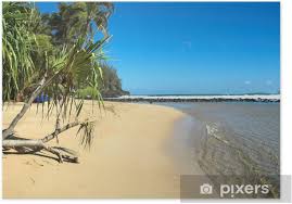 Deckchair on tropical beach by palm tree at dusk and blue heron, maldives, indian ocean papadopoulos sakis. Tropical Beach Poster Pixers We Live To Change