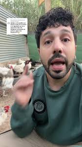 ¿Servirán los huevos de la gallina?