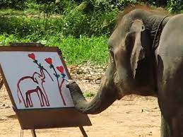 Video: Watch amazing elephant paint portrait of HERSELF - but is everything  all that it seems? - Mirror Online