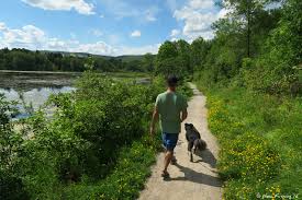 See 45 traveler reviews, 10 candid photos, and great deals for indian point campground, ranked #7 of 9 specialty lodging in duluth and rated 3.5 of 5 at tripadvisor. Cp Campground Review Indian Point Duluth Mn Wheeling It Tales From A Nomadic Life