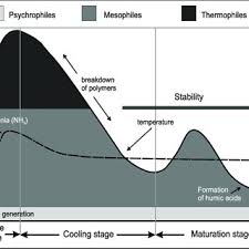 Beata KLUCZEK-TURPEINEN