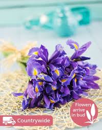 This indigenous gem has pretty pink spikes of flowers set off against evergreen foliage. Winter Flowers In South Africa Rambling Rose