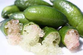 Substitutes, ingredients, … перевести эту страницу. Finger Limes Aka Citrus Caviar 80 Grams Buy Online In United Arab Emirates At Desertcart Ae Productid 43576443