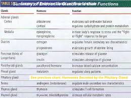 Biology 2 Topic 7 Chemical Coordination Endocrine System