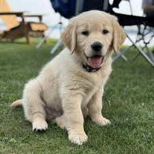 Erin Kiel and Kyle Hungerford's Wedding Website