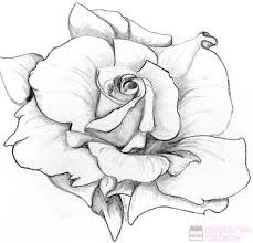 Sí, te estamos haciendo seo negativo (100% gratis y efectivo). áˆ Dibujos De Rosas 1000 Para Colorear Hoy