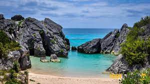 Cove is owned by its members, not by some millionaire or corporation. Strand Jobson S Cove Jobson S Cove