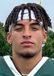 FALL ALL-AREA: Football capsules