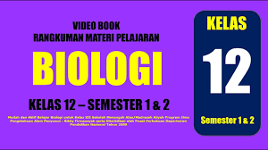 Modul dan rangkuman materi pjok kelas 1 2 3 4 5 6 sd/mi semester 1 kurikulum 2013 ini terdiri dari materi pelajaran pjok kelas 1, materi pelajaran pjok kelas 2, materi pelajaran pjok kelas 3, materi pelajaran pjok kelas 4, materi pelajaran pjok kelas 5, materi pelajaran pjok kelas 6 Kelas 12 Pjok Kurikulum 2013 Revisi 2018 Youtube