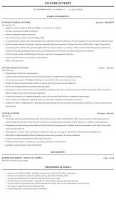 Accountancy graduate with over 7 years of experience in auditing for an organization. Junior Auditor Resume Sample Mintresume
