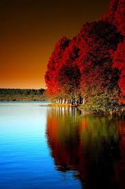 Pin By Jocelyne E On Trees And Nature Scenery Beautiful Nature Nature
