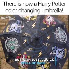 Crest Liquid Reactive Umbrella Video Harry Potter Universal Harry Potter Merch Harry Potter Funny