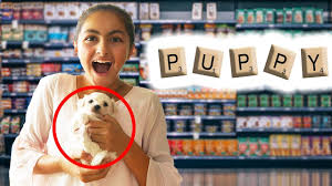 I Ll Buy Whatever You Spell Challenge New Puppy Youtube