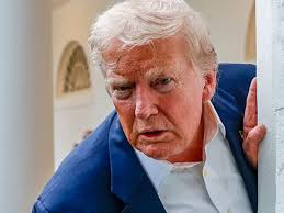 Ivanka Trump, Tinsley Mortimer, and Lauren Santo Domingo: A Tale of Three  NYC Socialites