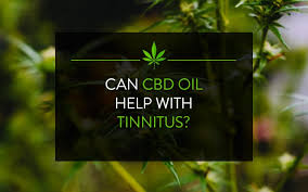 The question of how to use cbd tincture may be one of the many questions that newcomers have. Cbd For Tinnitus Does It Help Best Cbd Finder