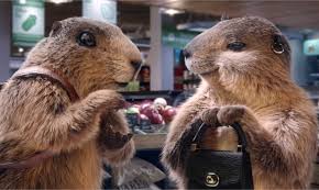 Video Mais Bien Sur La Marmotte De Milka Est De Retour Actu