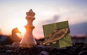 One star is easy, two stars is medium, three stars is difficult. next elect whether you want to play against another player or the computer. Dissecting Stockfish Part 2 In Depth Look At A Chess Engine By Antoine Champion May 2021 Towards Data Science