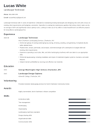 Pin On Resume Examples