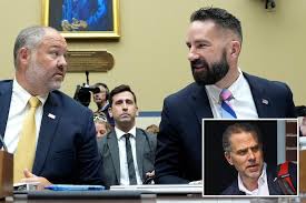 IRS whistleblowers talk alleged coverup in Hunter Biden case