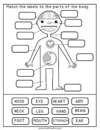 Human Body Worksheets Itsybitsyfun Com Human Body Worksheets Preschool Worksheets Preschool Activities