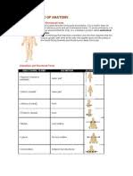 Students learning about anatomy should be able to correctly match the scientific names of the bones with their common names. Lab 1 Language Of Anatomy Answers Anatomical Terms Of Location Human Anatomy